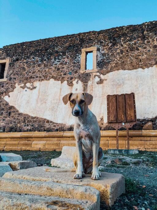 Casa Aloe Vera - Private House W/ Free Breakfast Cidade Velha Εξωτερικό φωτογραφία